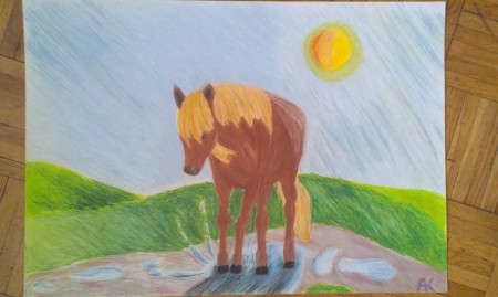 14 r,(2009) , tvrdý pastel, ZUŠ, názov: Pohoda